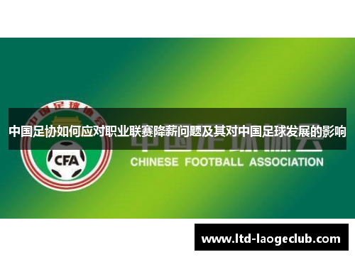 中国足协如何应对职业联赛降薪问题及其对中国足球发展的影响