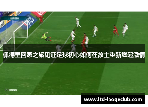 佩德里回家之旅见证足球初心如何在故土重新燃起激情