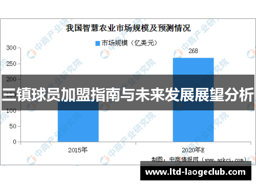 三镇球员加盟指南与未来发展展望分析