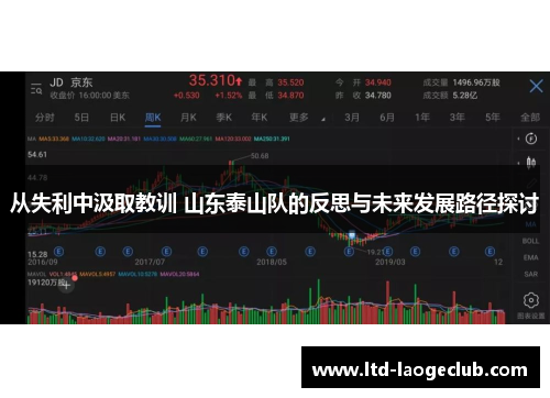 从失利中汲取教训 山东泰山队的反思与未来发展路径探讨