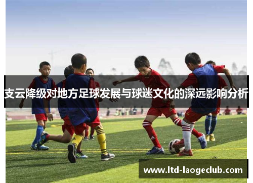 支云降级对地方足球发展与球迷文化的深远影响分析
