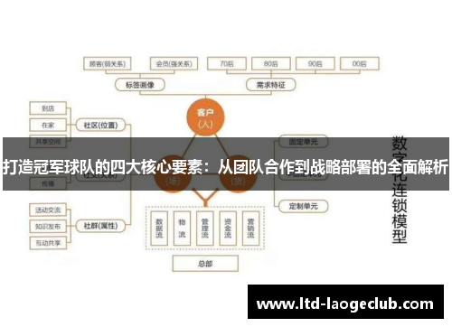 打造冠军球队的四大核心要素：从团队合作到战略部署的全面解析