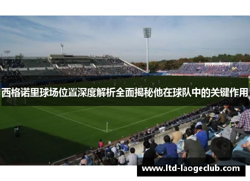 西格诺里球场位置深度解析全面揭秘他在球队中的关键作用