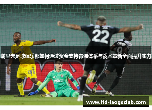 谢里夫足球俱乐部如何通过资金支持青训体系与战术革新全面提升实力