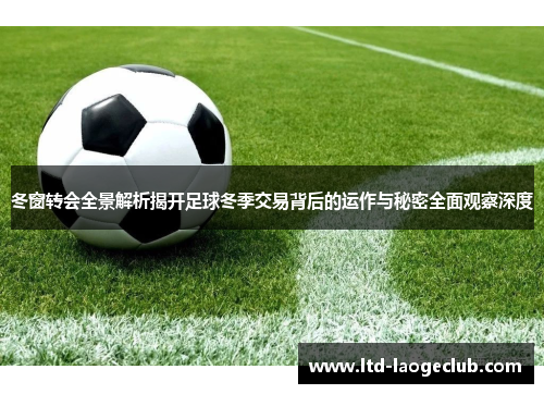 冬窗转会全景解析揭开足球冬季交易背后的运作与秘密全面观察深度 冬窗转会全景解析揭开足球冬季交易背后的运作与秘密全面观察深度