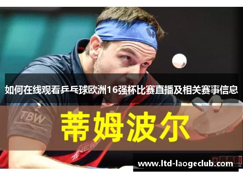 如何在线观看乒乓球欧洲16强杯比赛直播及相关赛事信息