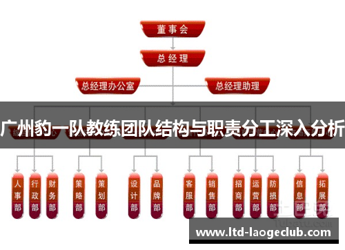 广州豹一队教练团队结构与职责分工深入分析