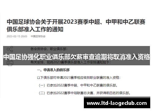 中国足协强化职业俱乐部欠薪审查逾期将取消准入资格