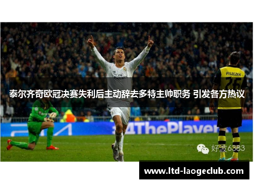 泰尔齐奇欧冠决赛失利后主动辞去多特主帅职务 引发各方热议 泰尔齐奇欧冠决赛失利后主动辞去多特主帅职务 引发各方热议