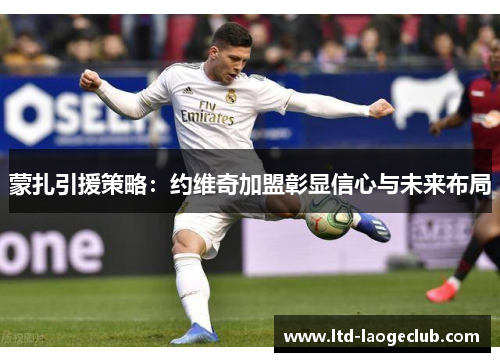 蒙扎引援策略：约维奇加盟彰显信心与未来布局