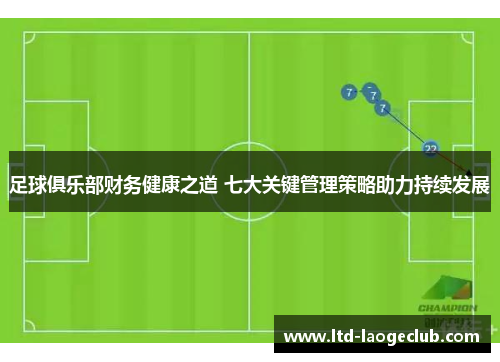 足球俱乐部财务健康之道 七大关键管理策略助力持续发展
