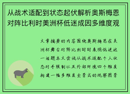 从战术适配到状态起伏解析奥斯梅恩对阵比利时美洲杯低迷成因多维度观察全景