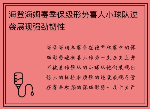 海登海姆赛季保级形势喜人小球队逆袭展现强劲韧性
