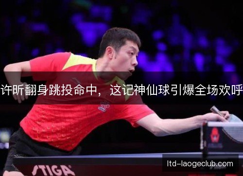 许昕翻身跳投命中,这记神仙球引爆全场欢呼 许昕翻身跳投命中,这记神仙球引爆全场欢呼